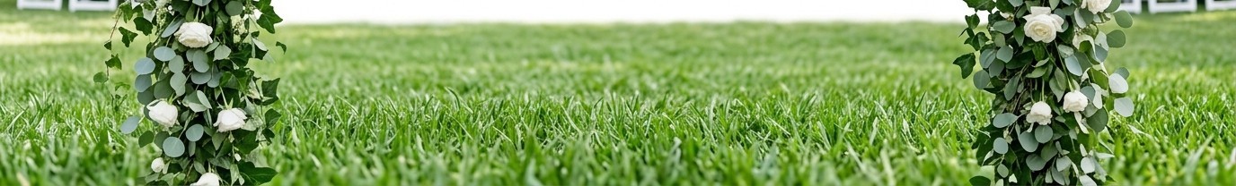 Lush green garden grass